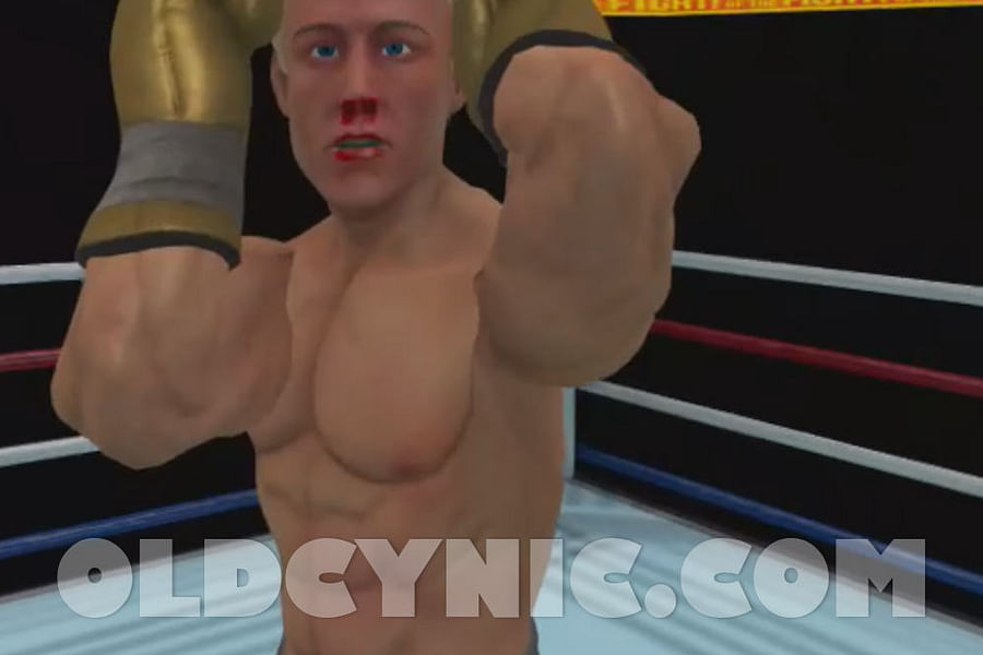 The Thrill of the Fight VR game