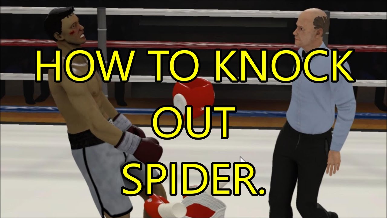 The Thrill of the Fight VR