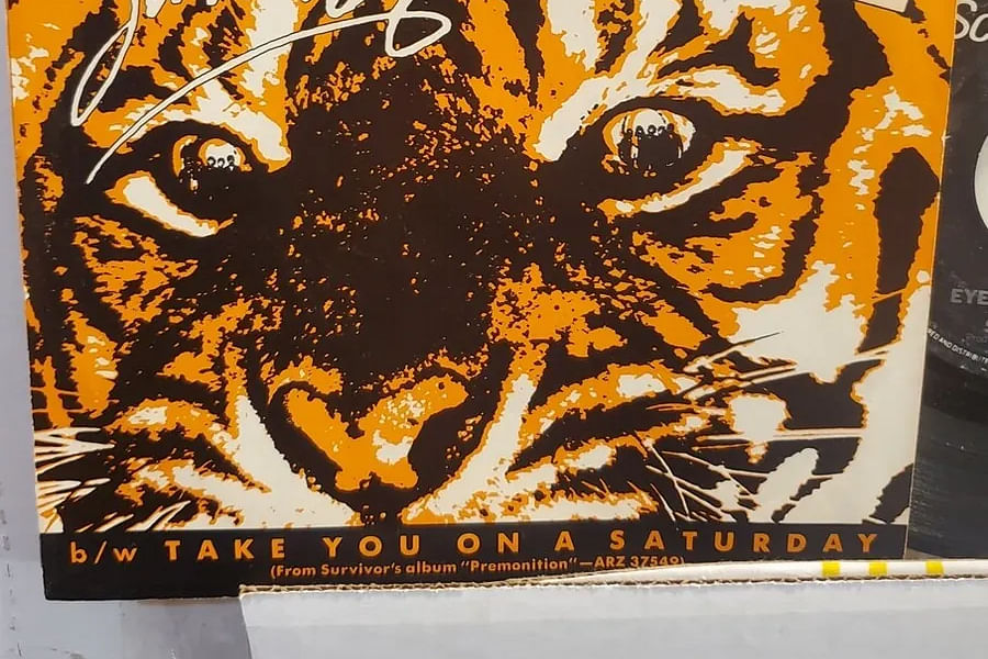 Eye of the Tiger Survivor album cover
